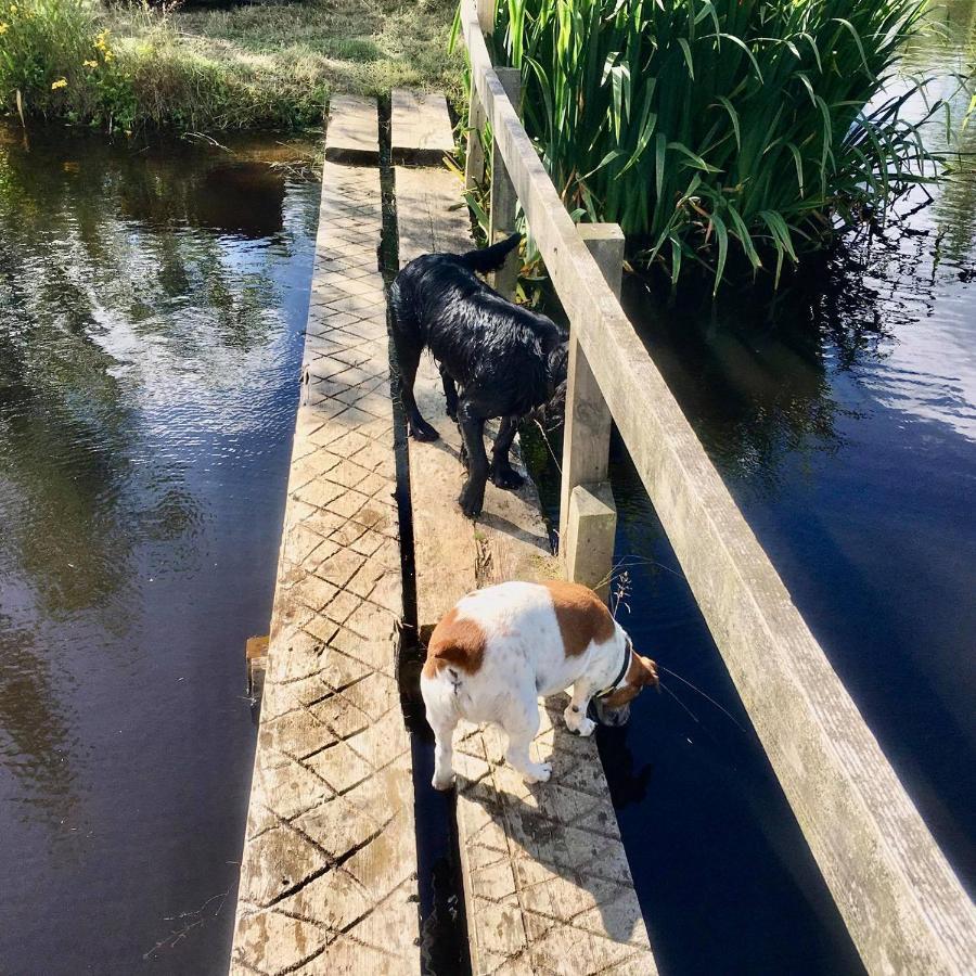 Shepherd'S Loch Glamping Turriff エクステリア 写真